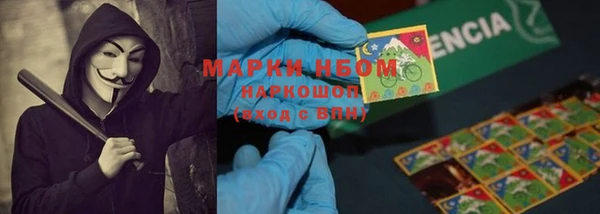 ГАЛЛЮЦИНОГЕННЫЕ ГРИБЫ Алексин