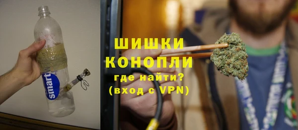ГАЛЛЮЦИНОГЕННЫЕ ГРИБЫ Алексин
